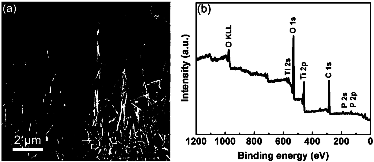 Phosphorus-doped bronze ore phase titanium dioxide nanowire array and preparation and application thereof