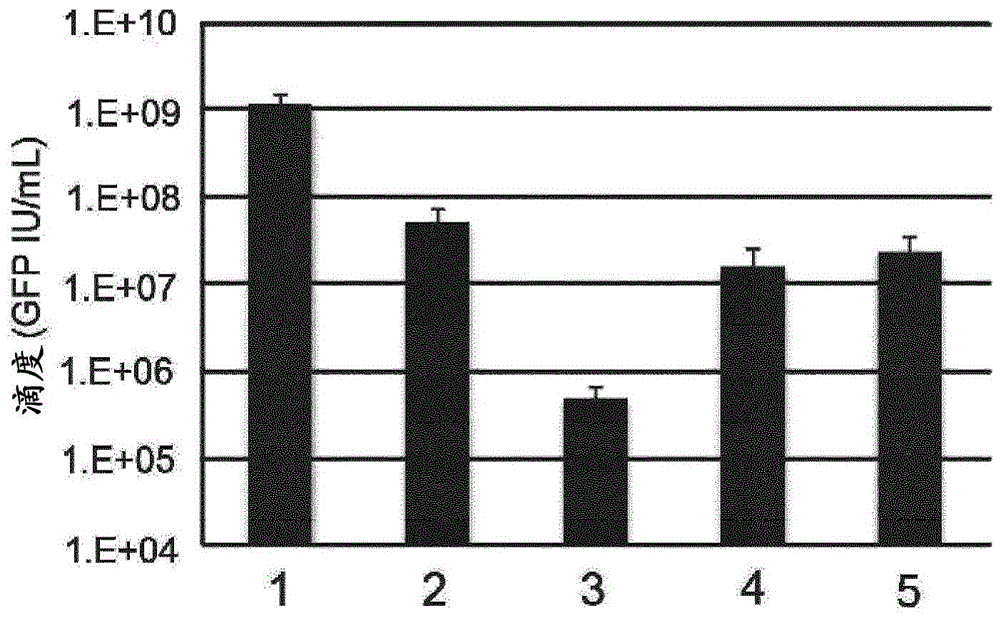 Lentiviral vectors pseudotyped with mutant baev glycoproteins