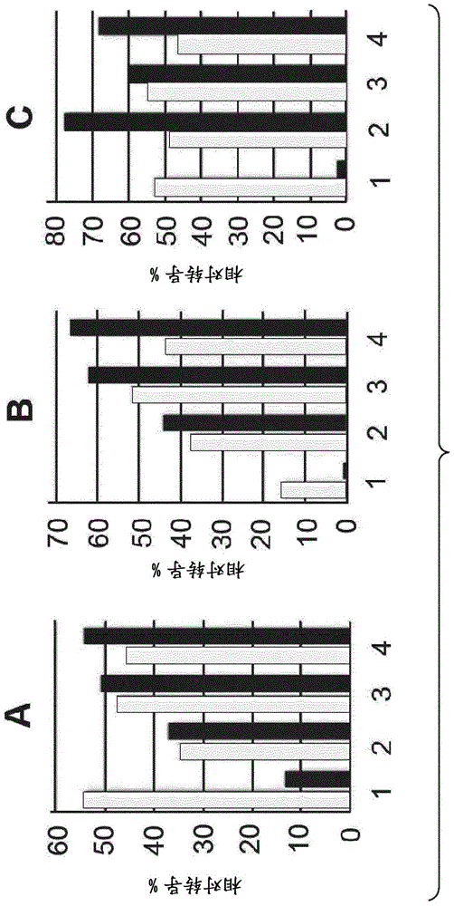 Lentiviral vectors pseudotyped with mutant baev glycoproteins