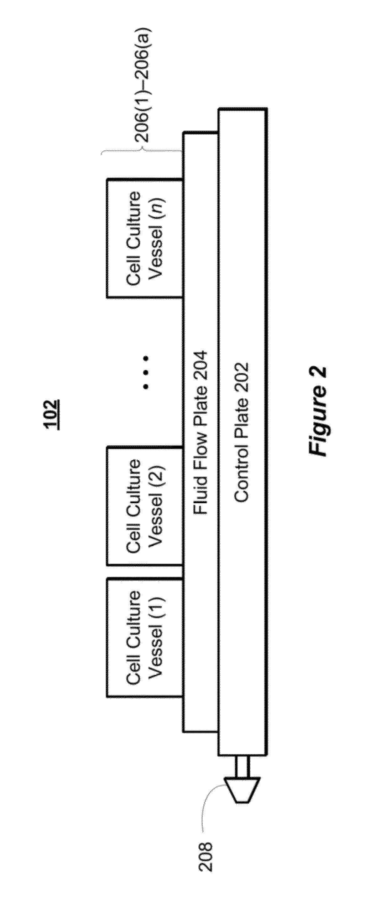 Modular platform for multi-tissue integrated cell culture