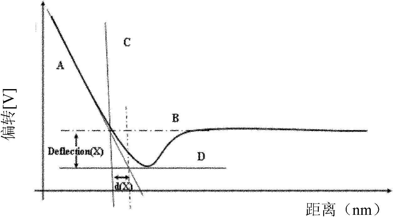 Atomic force microscope probe and probe tip thereof and method for detecting capability of adhesion between helicobacter pylori and gastric mucus