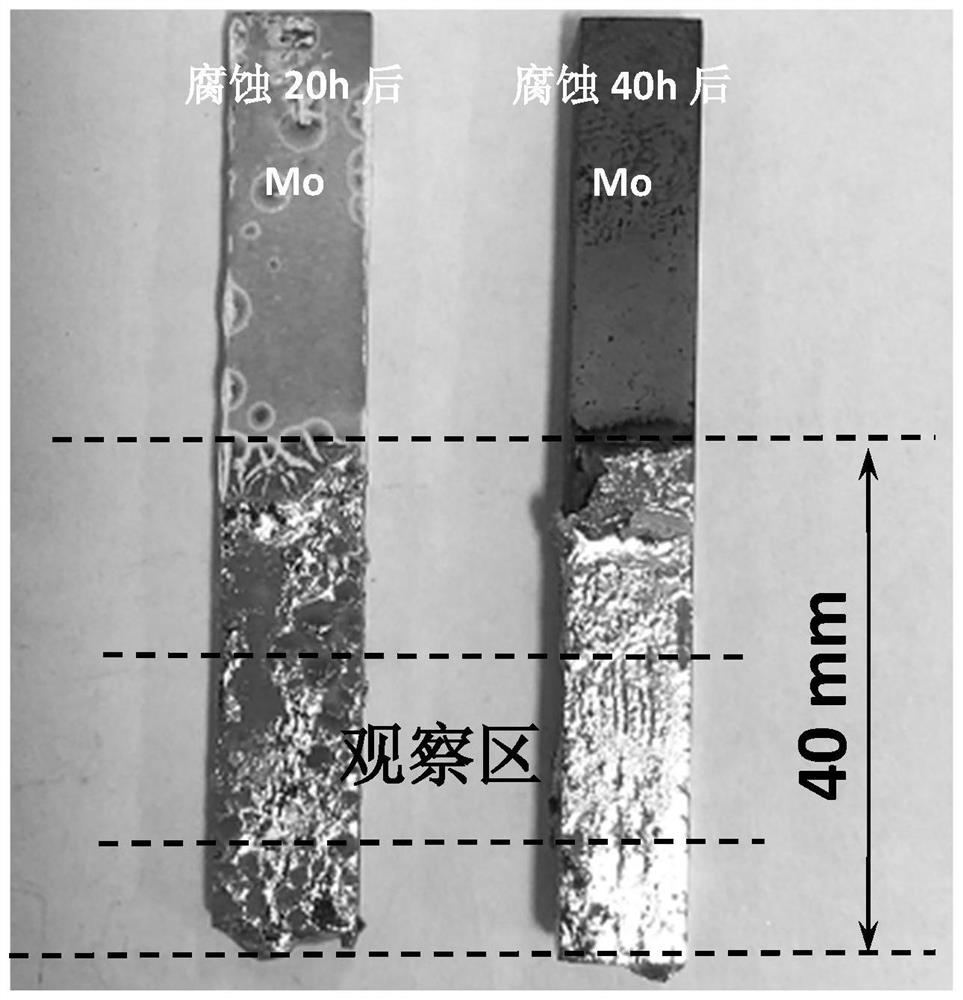 A kind of preparation method of refractory metal molybdenum protective film resistant to liquid lead and bismuth corrosion