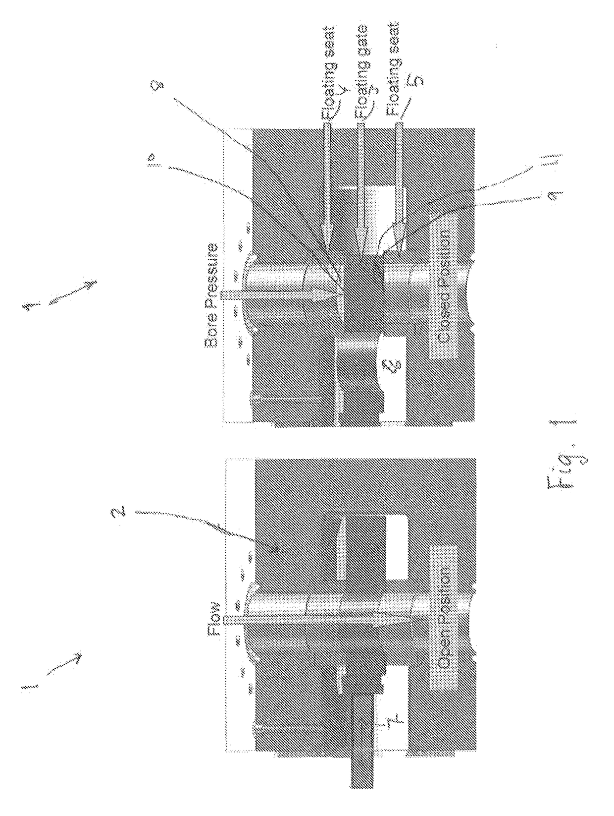 DLC-coated gate valve in petroleum production or water injection