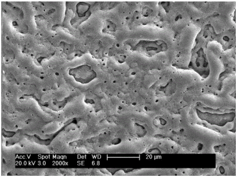 Method for preparing anti-microbial, mildew-resistant and corrosion-resistant membrane layer on magnesium metal surface