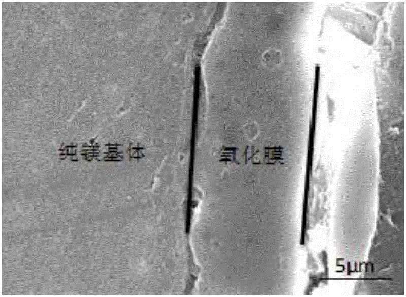 Method for preparing anti-microbial, mildew-resistant and corrosion-resistant membrane layer on magnesium metal surface