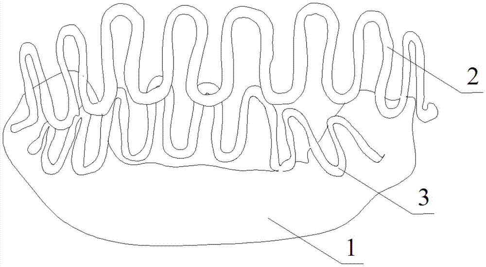 An upper and lower jaw interactive corrector