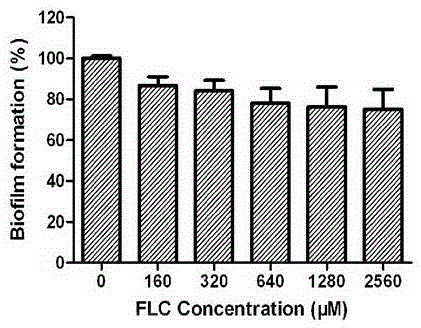 Application of sanguinarine in the preparation of antifungal biofilm drugs