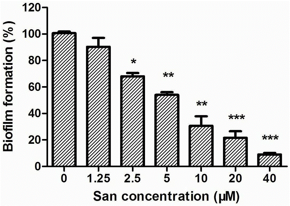 Application of sanguinarine in the preparation of antifungal biofilm drugs