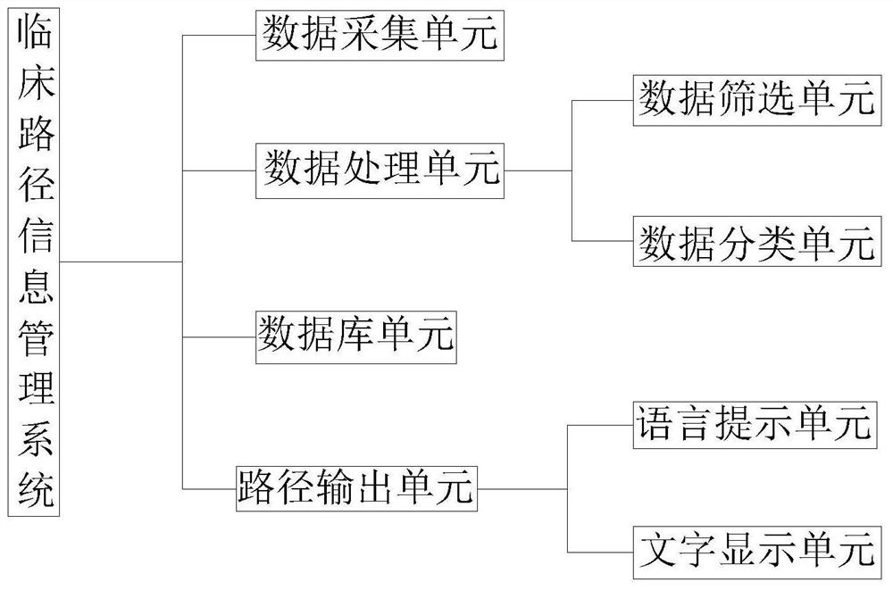 Clinical path information management system and method based on big data