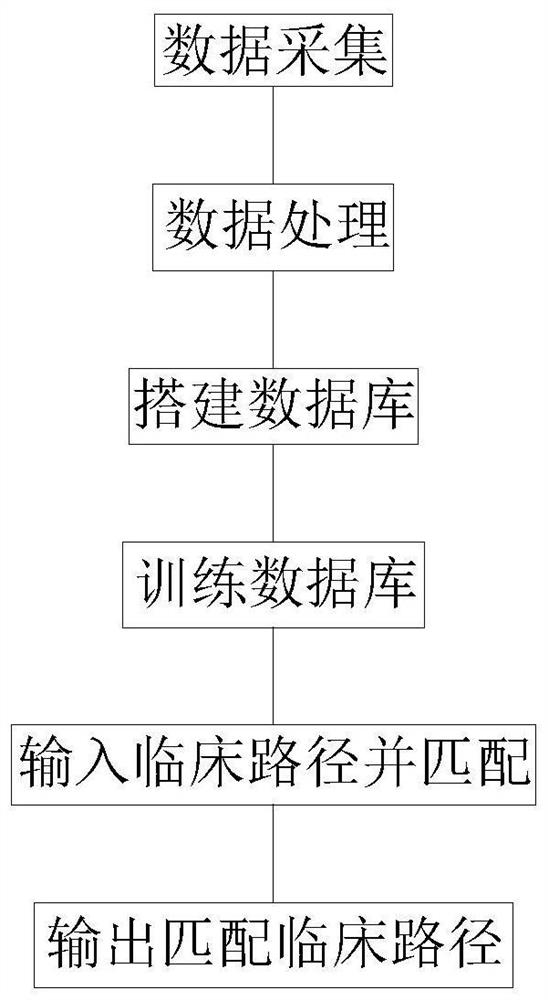 Clinical path information management system and method based on big data