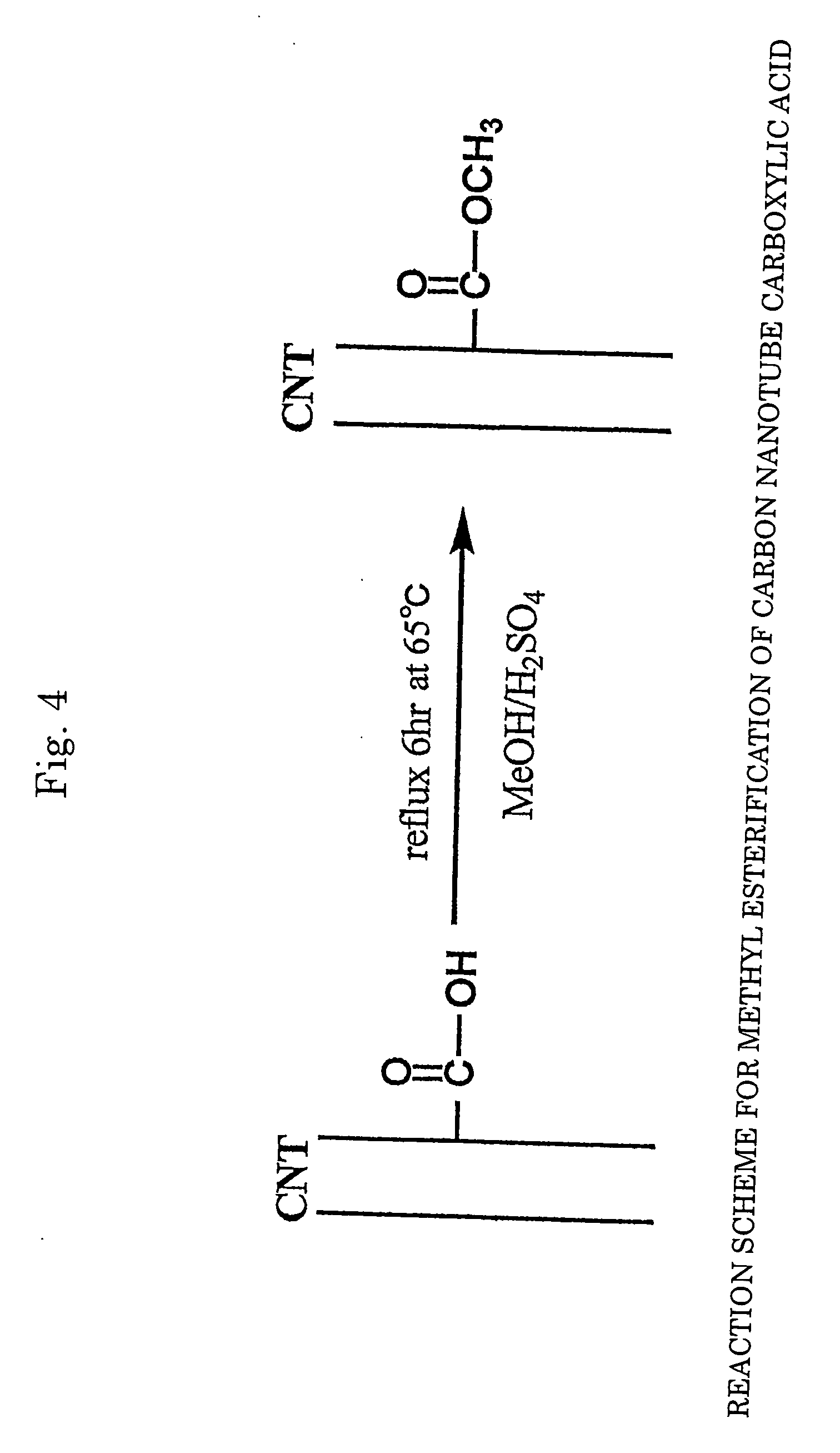 Carbon nanotube composite structure and method of manufacturing the same
