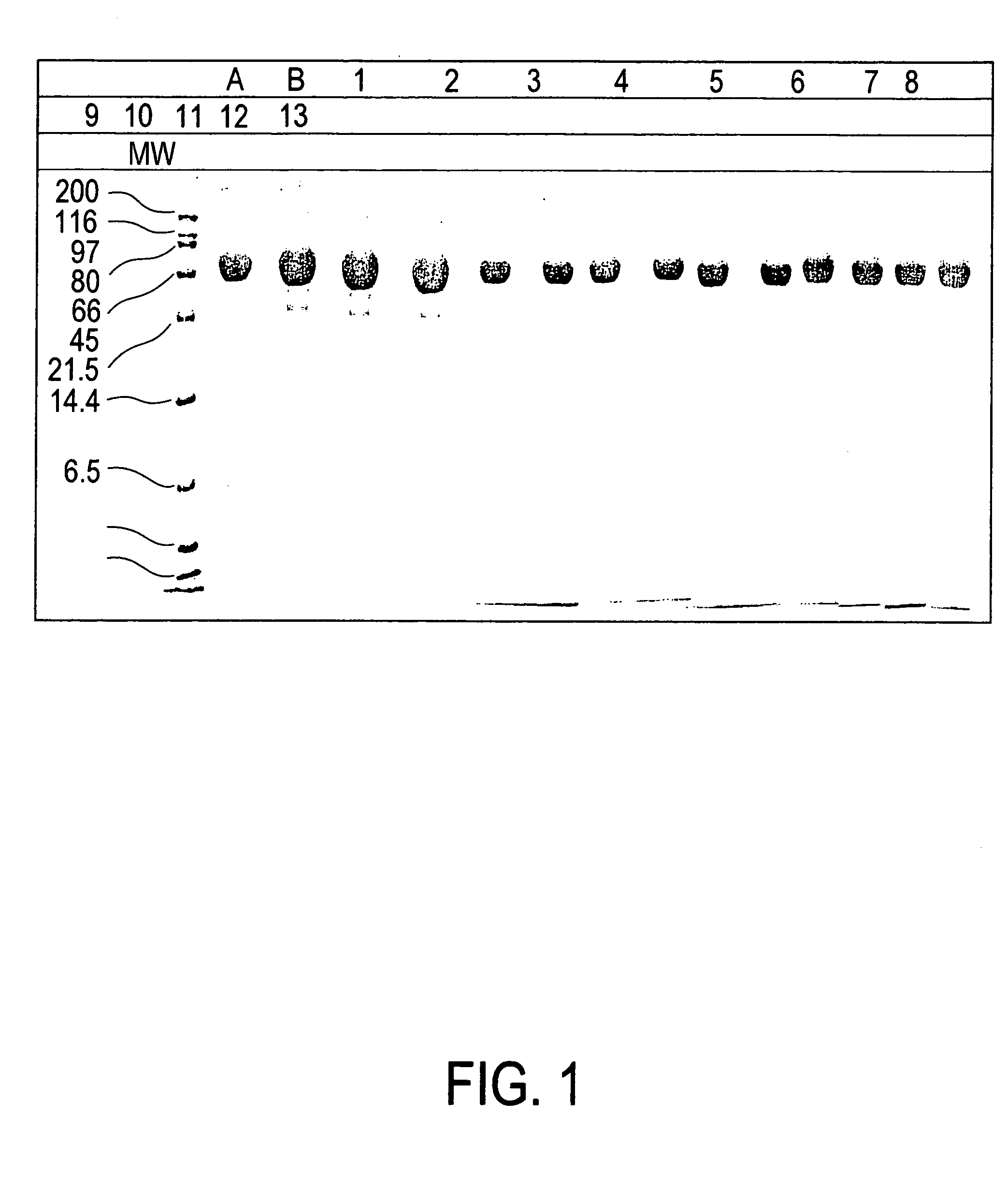 Apolactoferrin Compositions and Methods for Their Use in the Treatment of Viral Hepatitis C