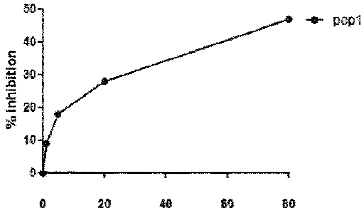 Polypeptides for the diagnosis and the treatment of c3 nef associated c3 glomerulopathy