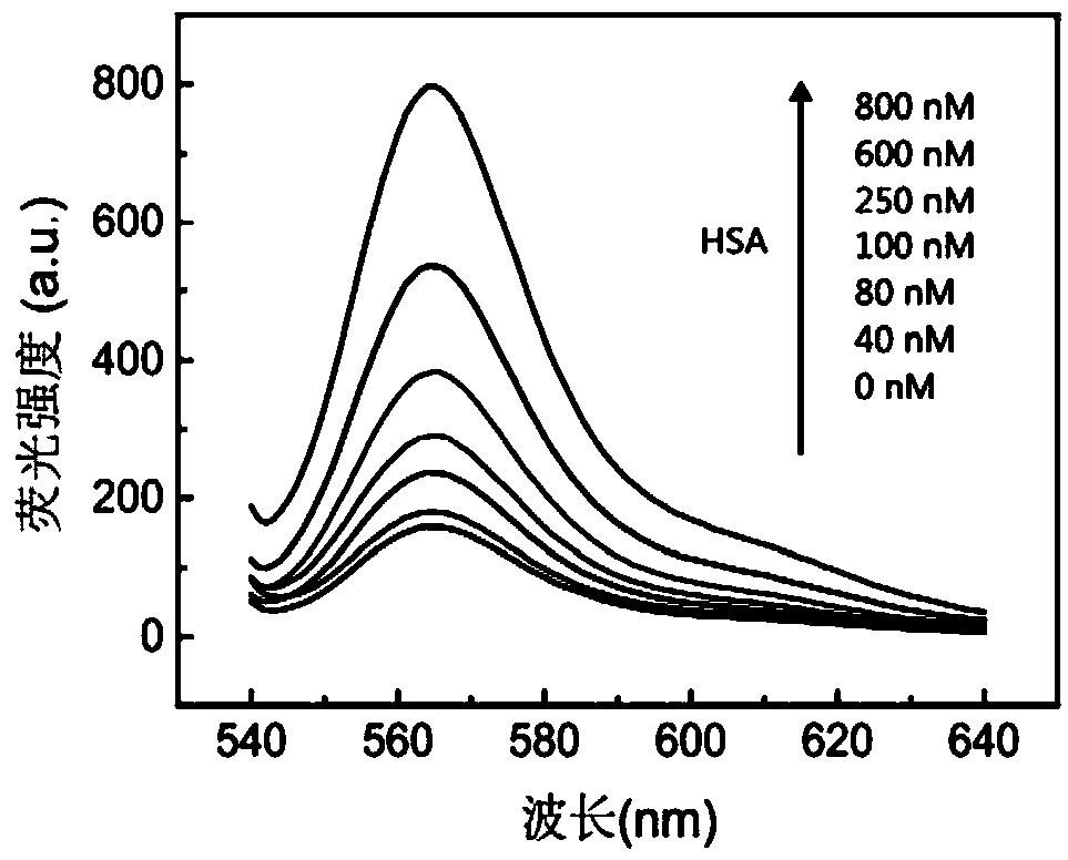 Urine microalbumin detection method based on DNA aptamer and kit thereof