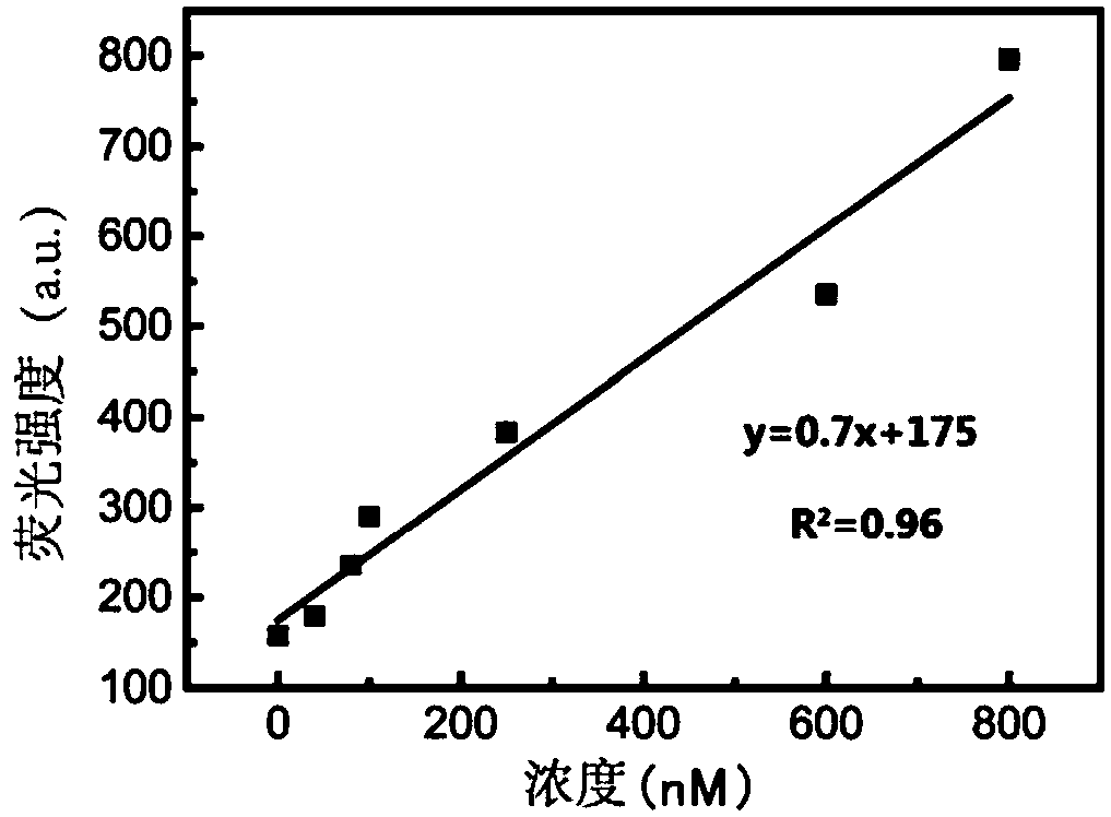 Urine microalbumin detection method based on DNA aptamer and kit thereof