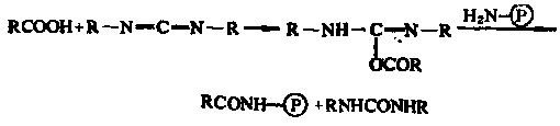 Animal progesterone chemiluminescence detection kit