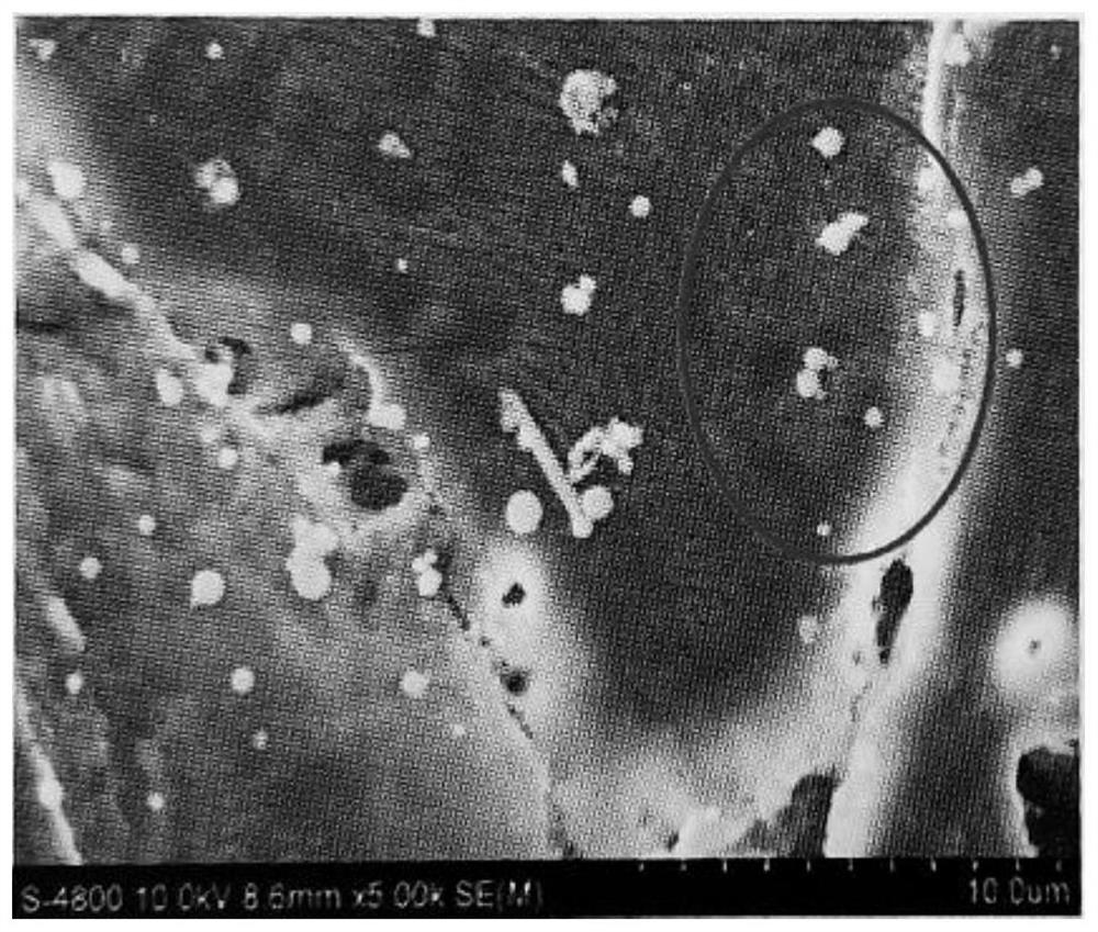 Ultra-clean discharge integrating system and synergic removal method of circulating fluidized bed boiler