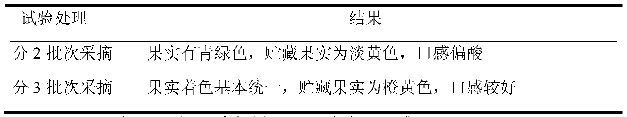 Navel orange storage and fresh-keeping method and negative-pressure forced ventilation type temperature-control storeroom storage method