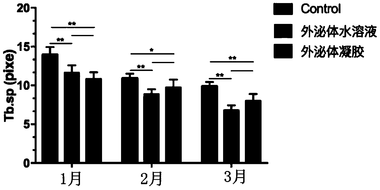 Method for extracting exosome from amniotic mesenchymal stem cells and application of exosome