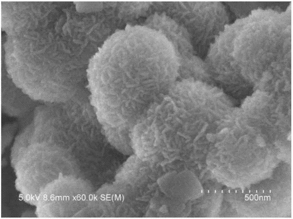 Preparation method of petaloid sodalite at room temperature