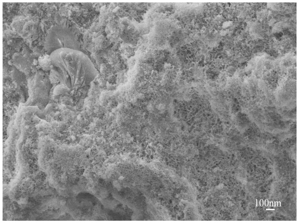 A kind of biodegradable mesoporous nano magnetic material and preparation method thereof