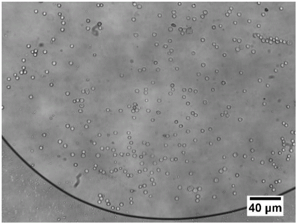 Preparation method of monodisperse quantum dot micro spheres with optical gain property
