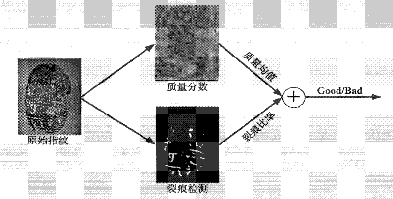Low-quality fingerprint image direction field extraction method based on diffusion equation