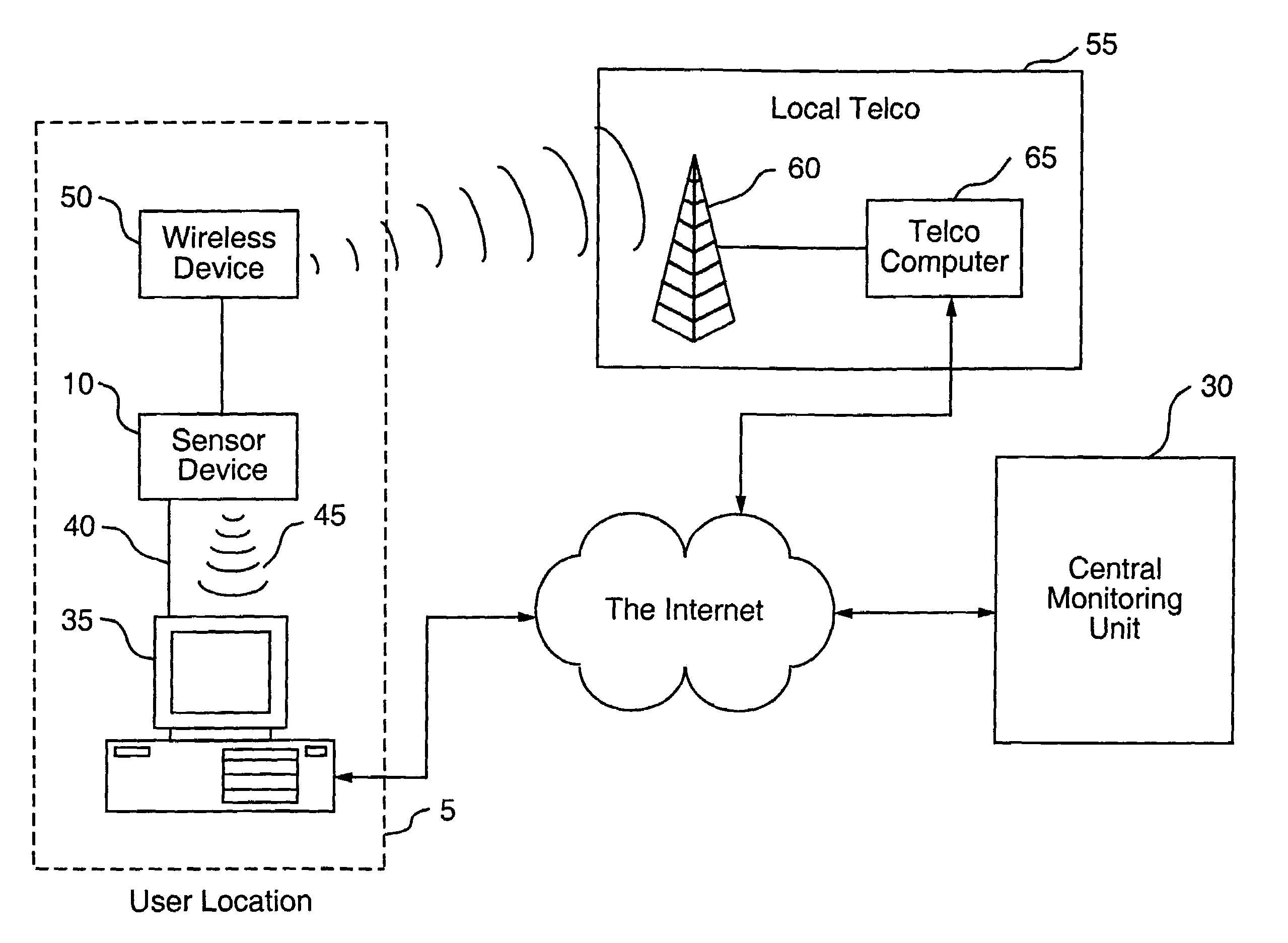 Apparatus for monitoring health, wellness and fitness
