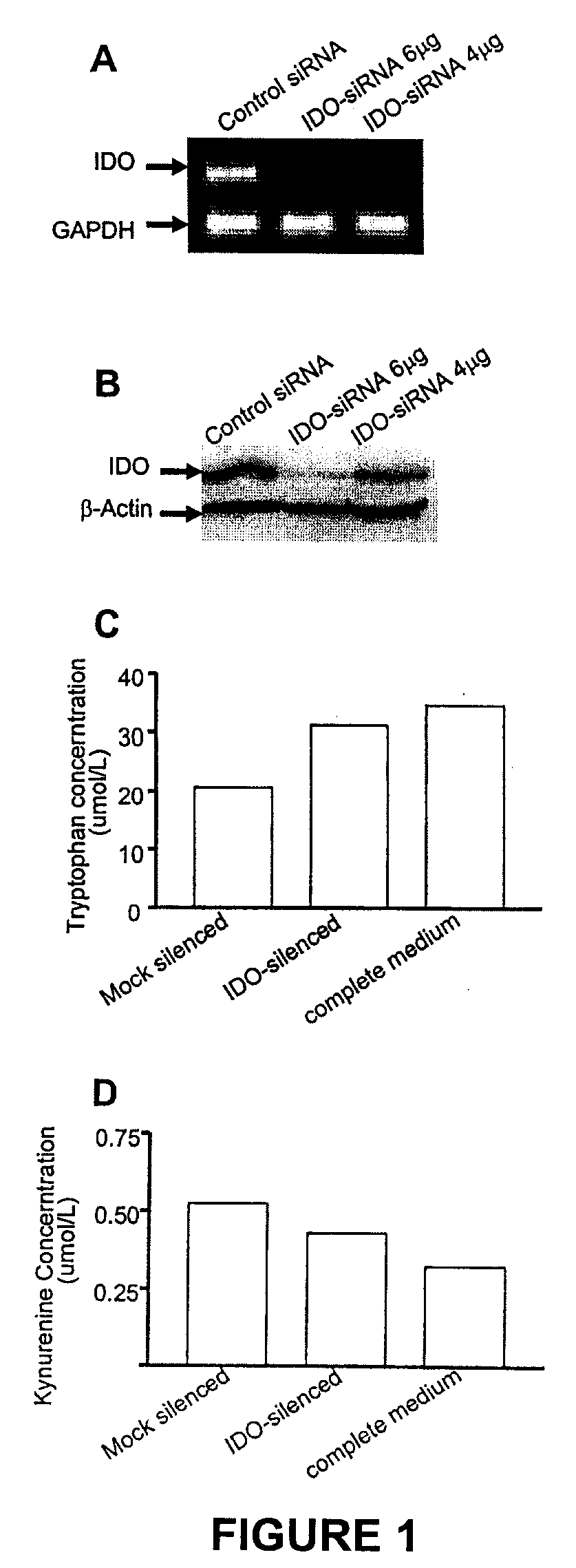 Method of cancer treatment using sirna silencing