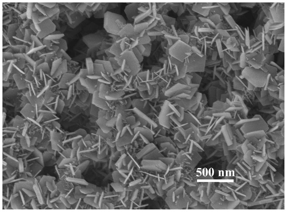 Hexagonal nanosheet composite film layer containing array macropores and preparation method of hexagonal nanosheet composite film layer