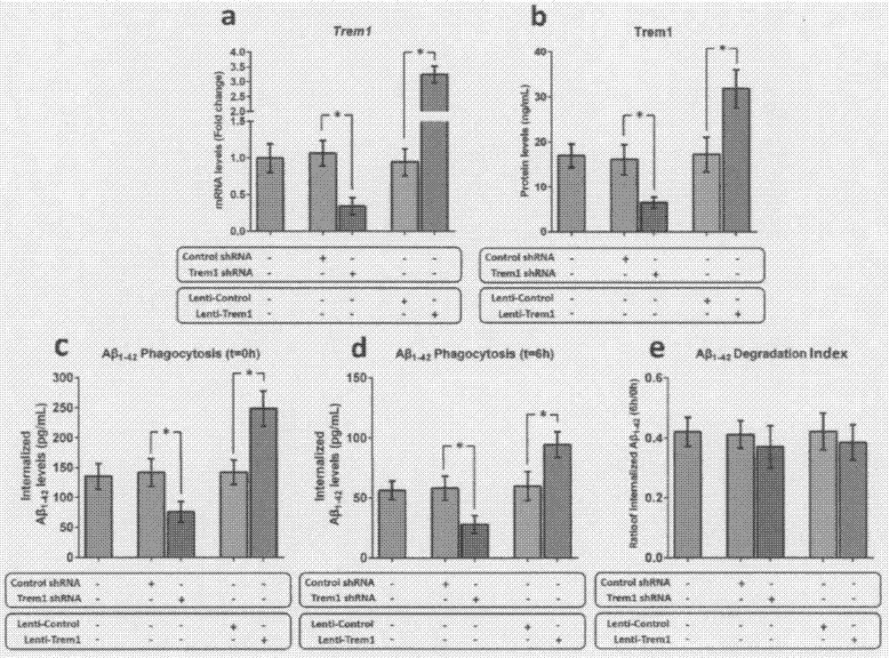 Drugs for diagnosis and treatment of Alzheimer's disease