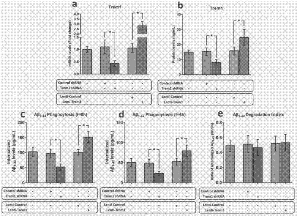 Drugs for diagnosis and treatment of Alzheimer's disease