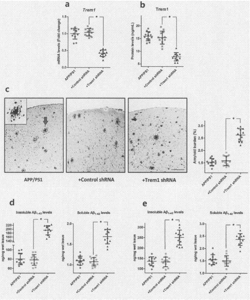 Drugs for diagnosis and treatment of Alzheimer's disease