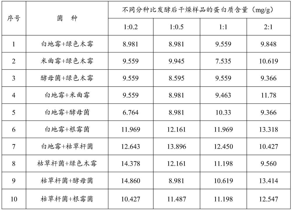 Composite bacterial agent, freeze-dried bacterial agent and apple pomace protein feed for fermenting apple pomace