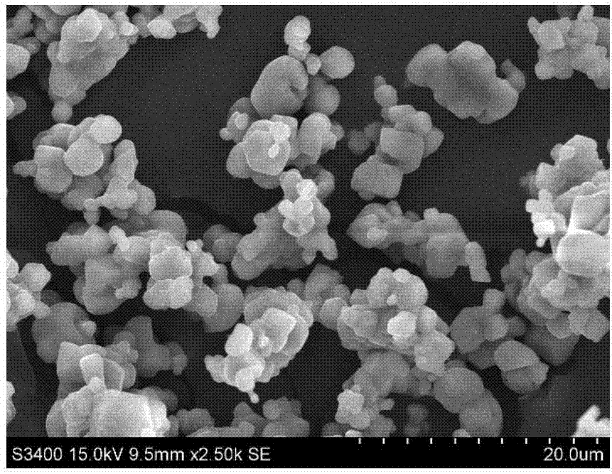 Micron-sized porous tungsten and preparation method thereof