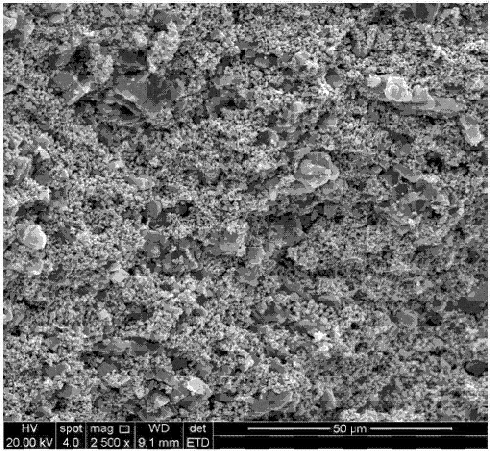 Micron-sized porous tungsten and preparation method thereof