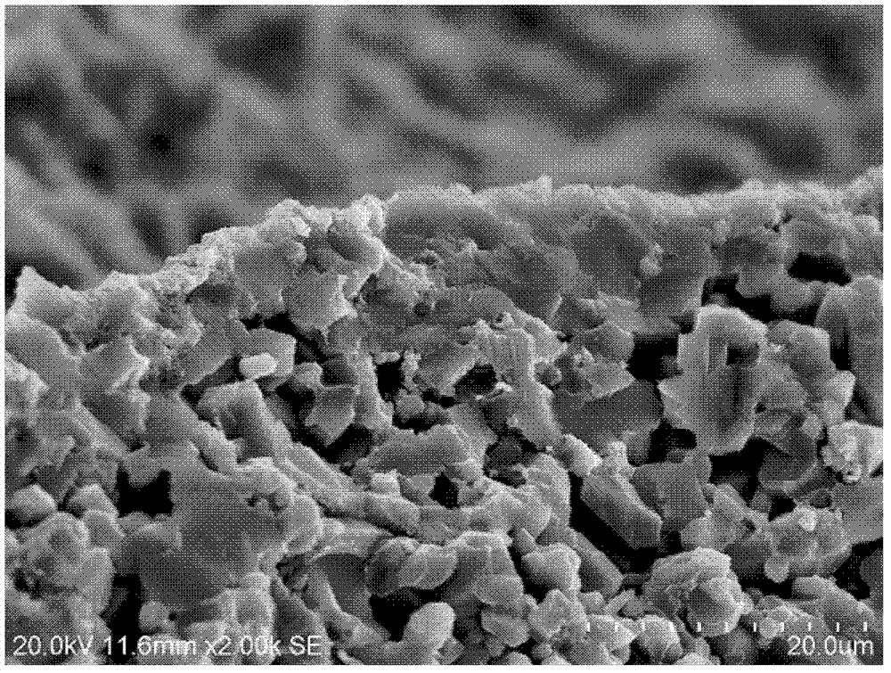 Titanium oxide coating/foam silicon carbide structure catalytic carrier and preparation method thereof