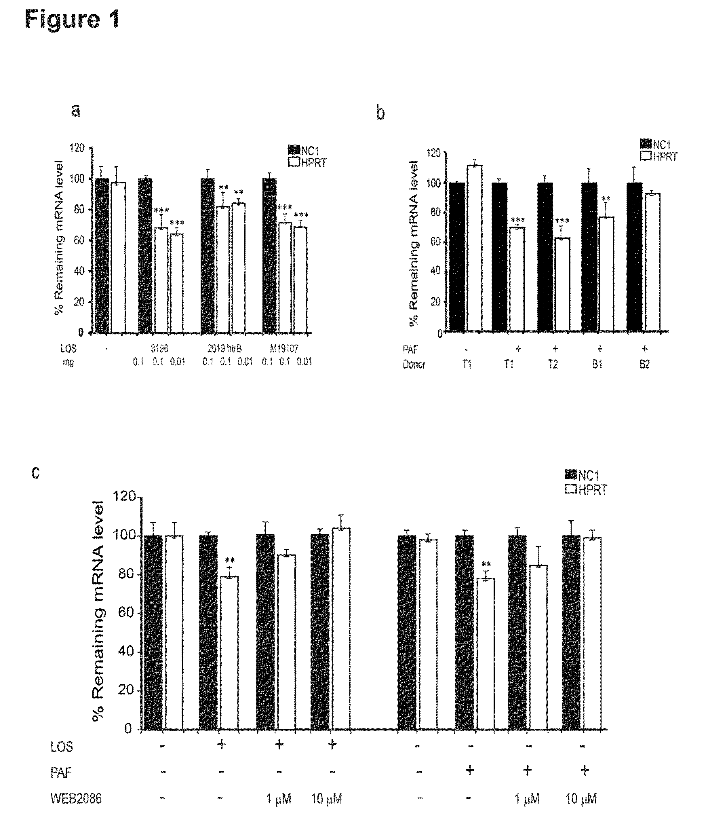 Methods of improving rnai in well-differentiated airway epithelia