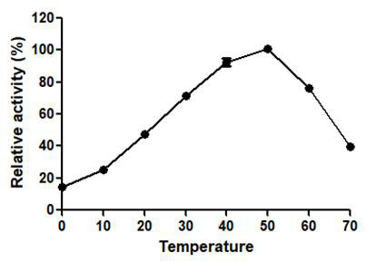 A kind of chitosanase csnt and its application