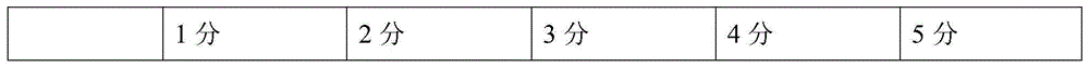 Honey fruit paper and preparation method thereof