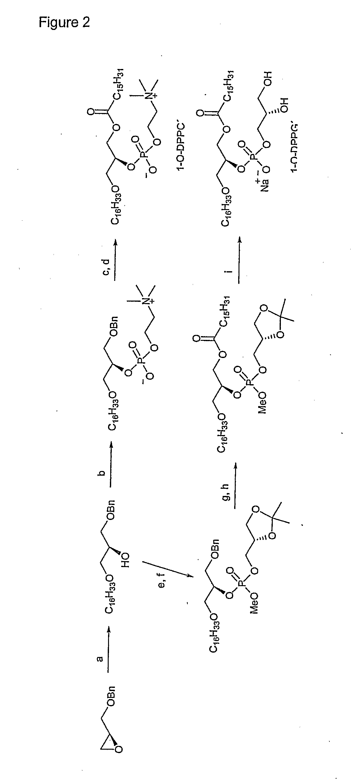 Lipid-Based Drug Delivery Systems Containing Unnatural Phospholipase A2 Degradable Lipid Derivatives and the Therapeutic Uses Thereof