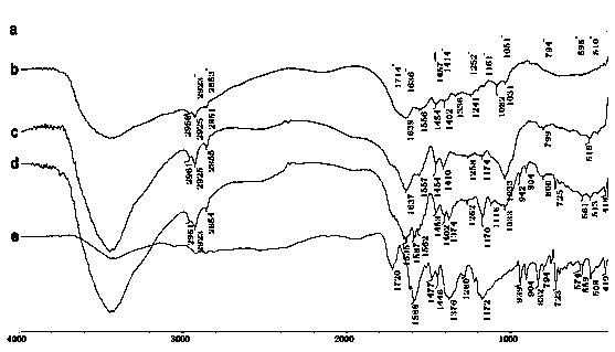 Granular cationic dye adsorbent and preparation method thereof