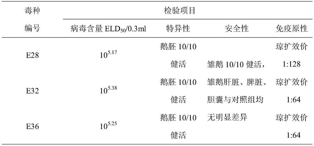 Gosling plague virus vaccine strain, vaccine and egg yolk antibody based on vaccine