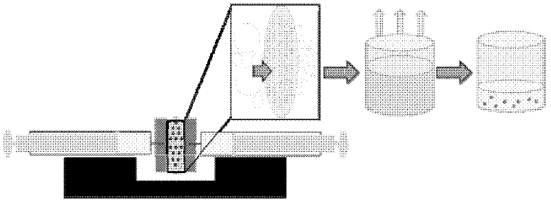 Method for preparing biodegradable polymer nano particles