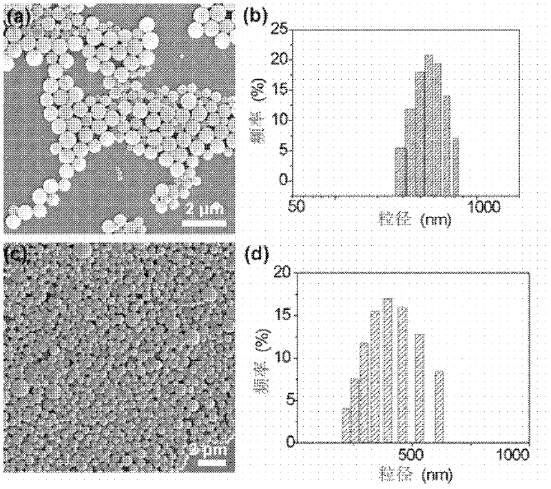 Method for preparing biodegradable polymer nano particles