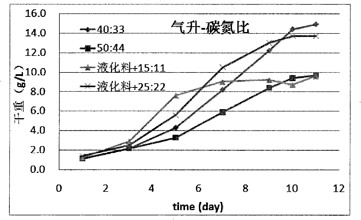 Artificial fermentation method capable of improving yield and quality of cordyceps sinensis