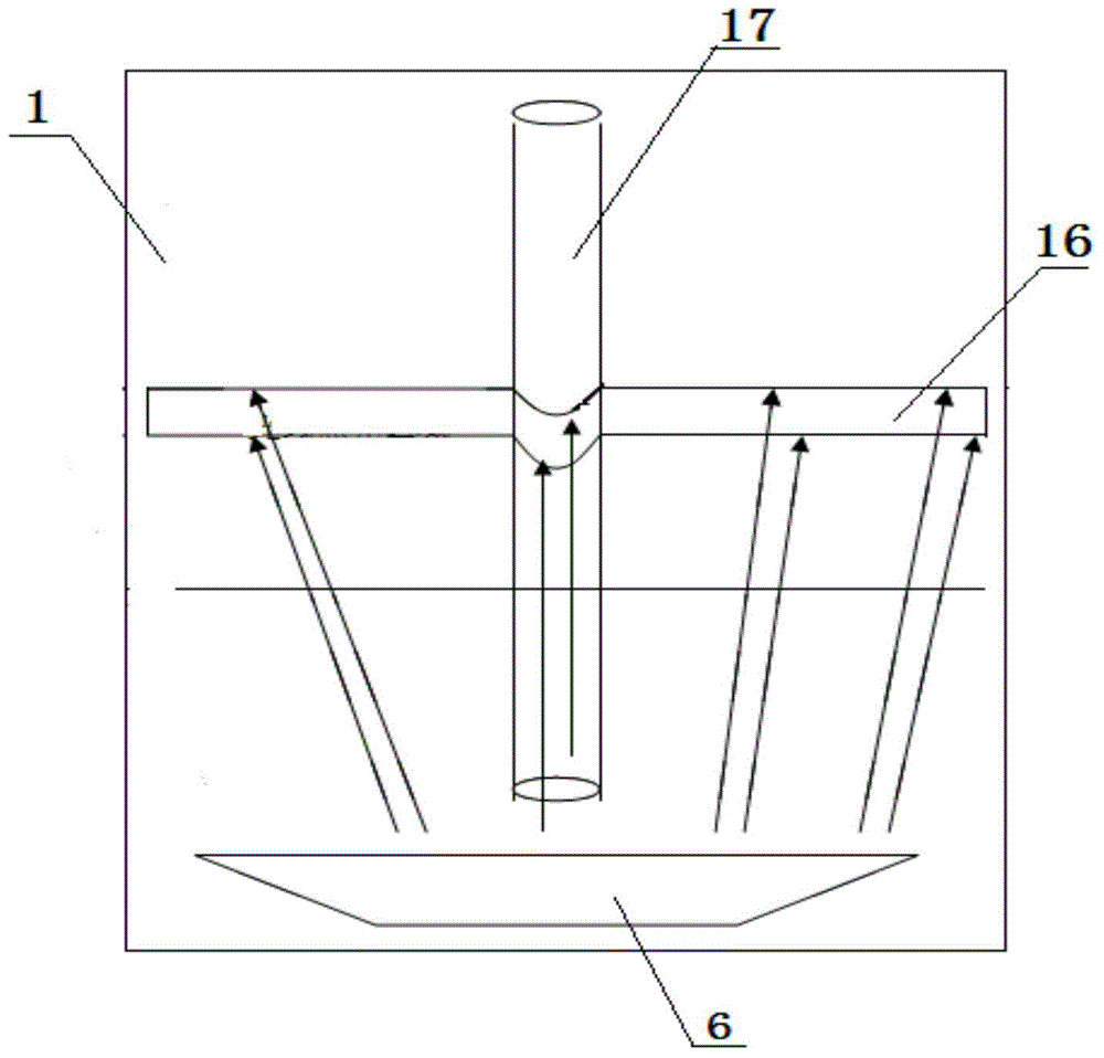 Broad-leaved plant vein measuring method