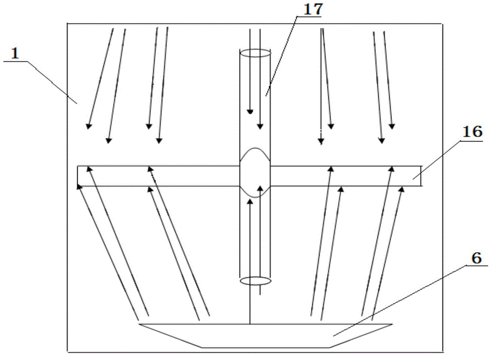 Broad-leaved plant vein measuring method