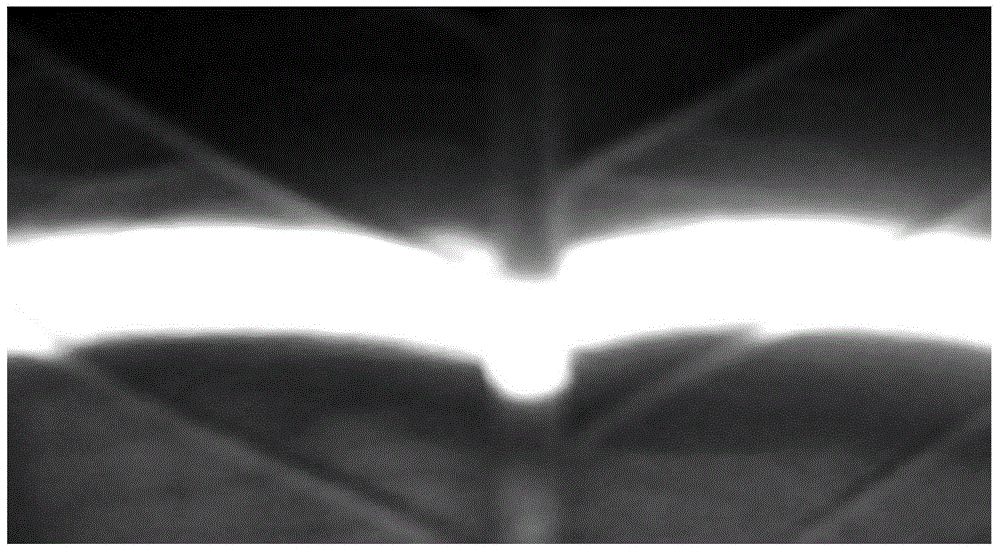 Broad-leaved plant vein measuring method