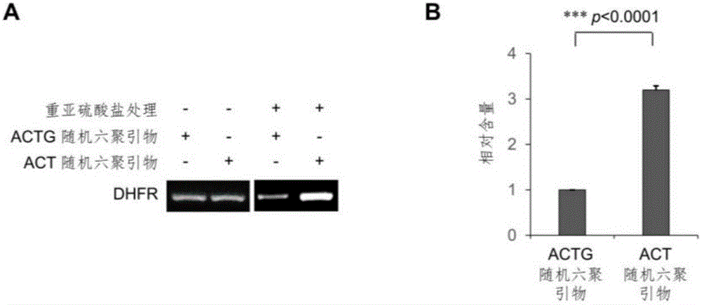 Library construction method for RNA 5mC bisulfite sequencing and application of library